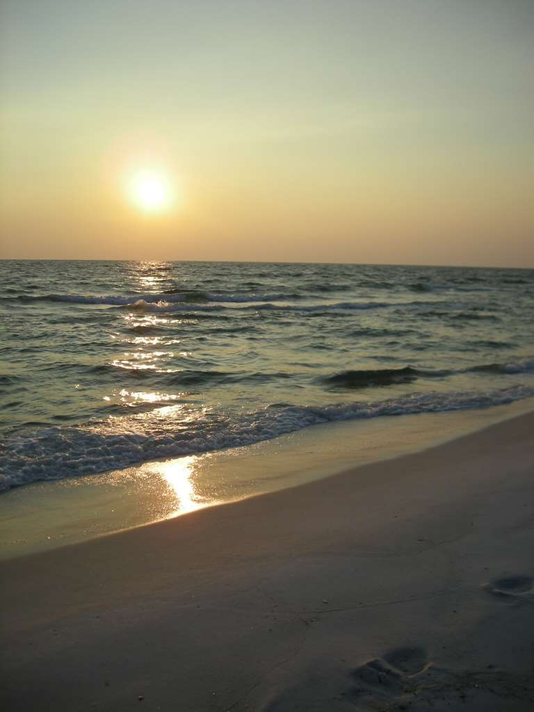 Hampton Inn By Hilton Panama City Beach Upper Grand Lagoon Natură foto